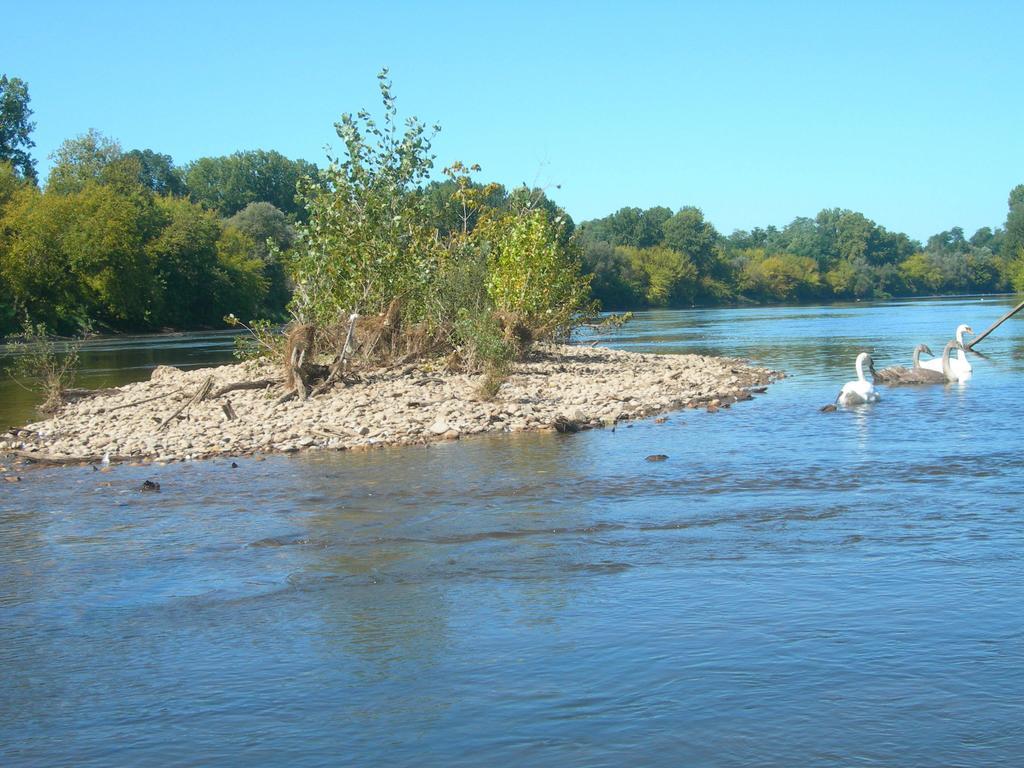 Moulin Des Sandaux Sainte-Foy-la-Grande Exteriör bild