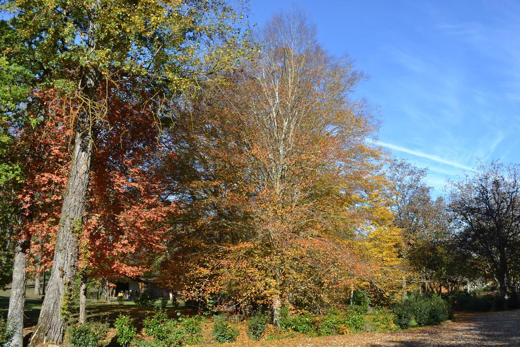 Moulin Des Sandaux Sainte-Foy-la-Grande Exteriör bild